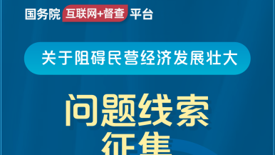 爆草学生妹在线播放国务院“互联网+督查”平台公开征集阻碍民营经济发展壮大问题线索